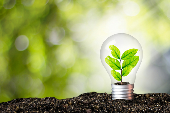 Image of light bulb with leaf inside, credit namtipStudio Shutterstock