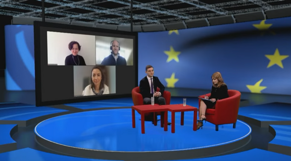 Screenshot from TV discussion